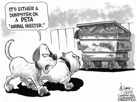 petashelter.jpg