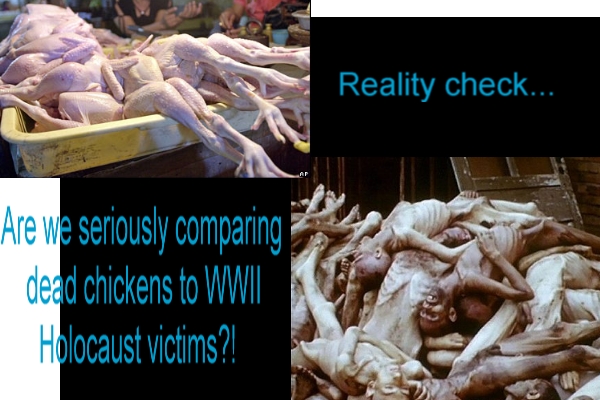 realitycheck.jpg